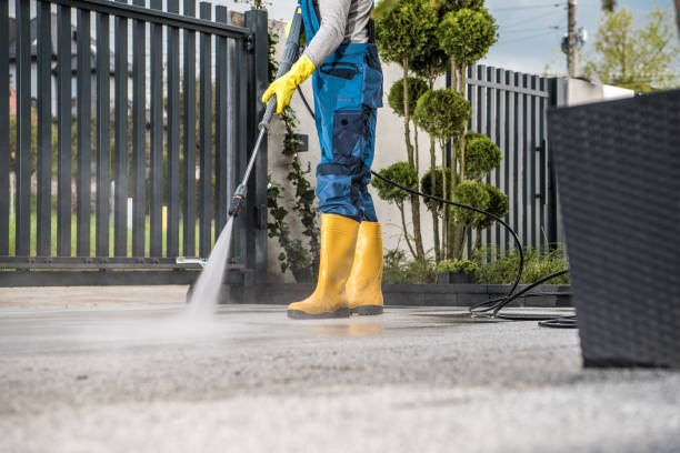 Best Deck Cleaning Services  in Pleasanton, CA